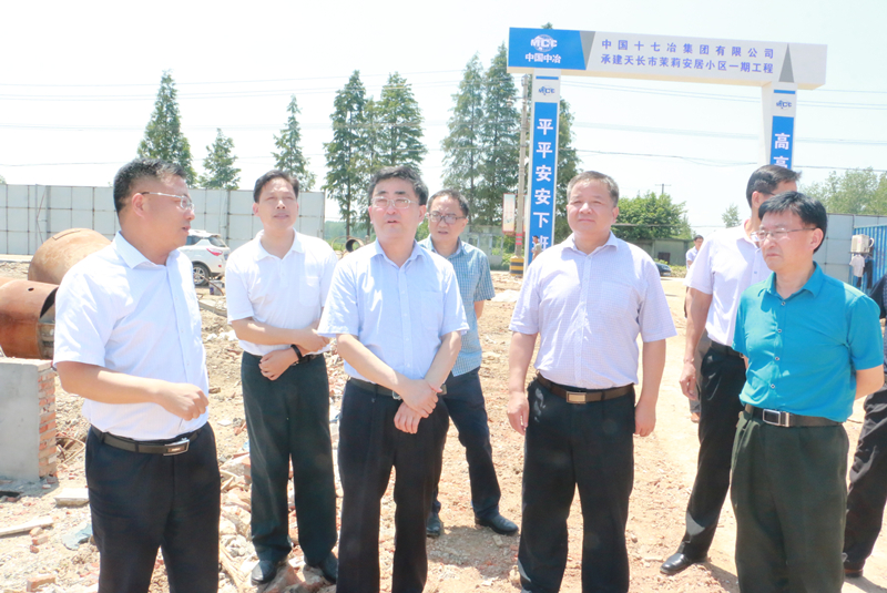 沈中林来天长调研美丽乡村建设